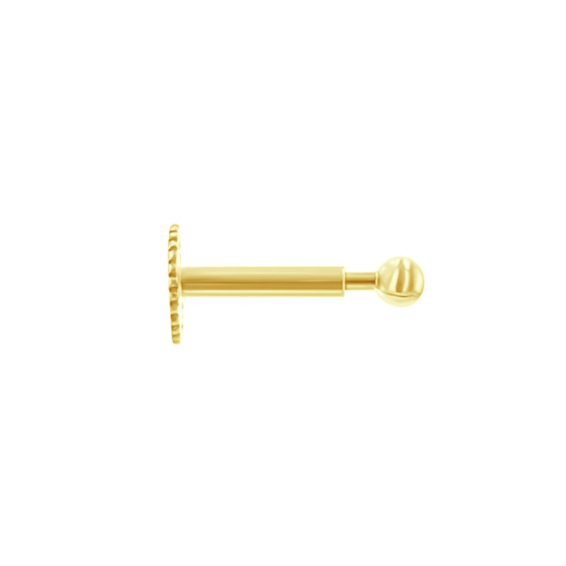Zlatý labret piercing do ucha Vena 123479