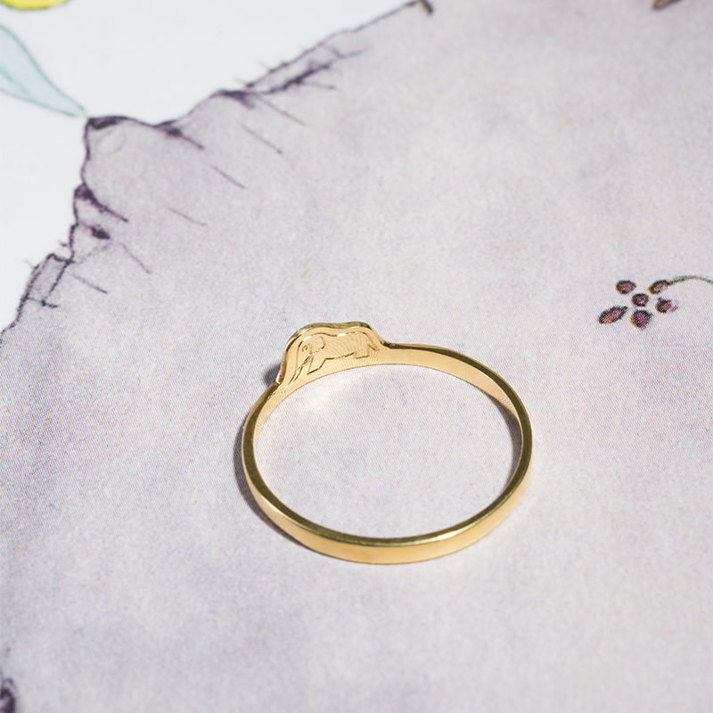 Strieborný prsteň so skrytým slonom Malý princ 122239