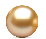 Juhomorská perla